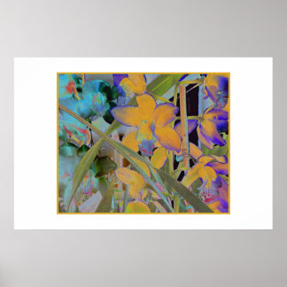 Poster Fleur nocturne