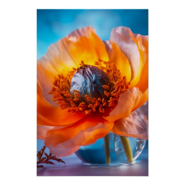 Poster Fleur orange (Devant)