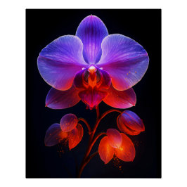 Poster Fleur orchidée dans la lumière