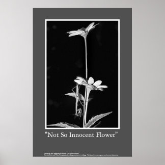 Poster Fleur pas si innove