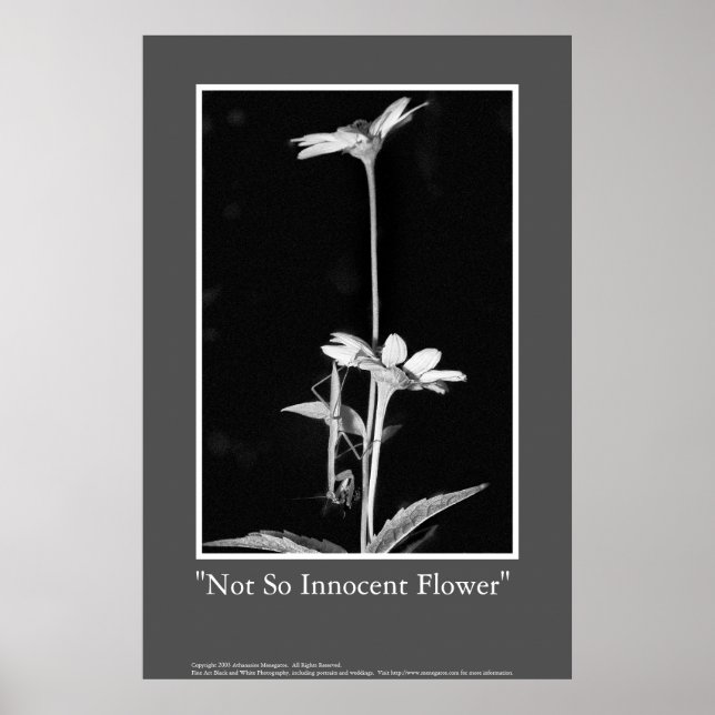 Poster Fleur pas si innove (Devant)