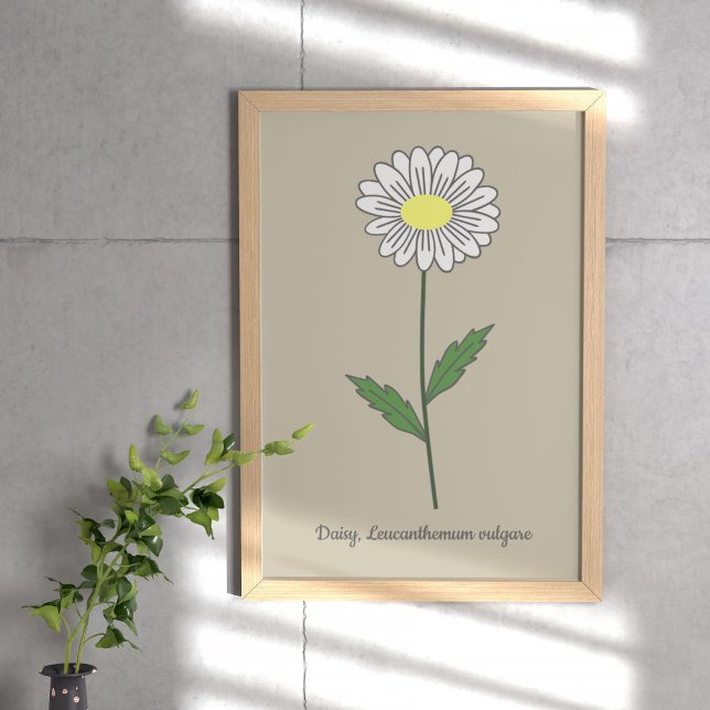 Poster Fleur pastel de marguerite botanique (Botanical Daisy Flower Poster)