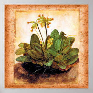 Poster Fleur Primrose vintage