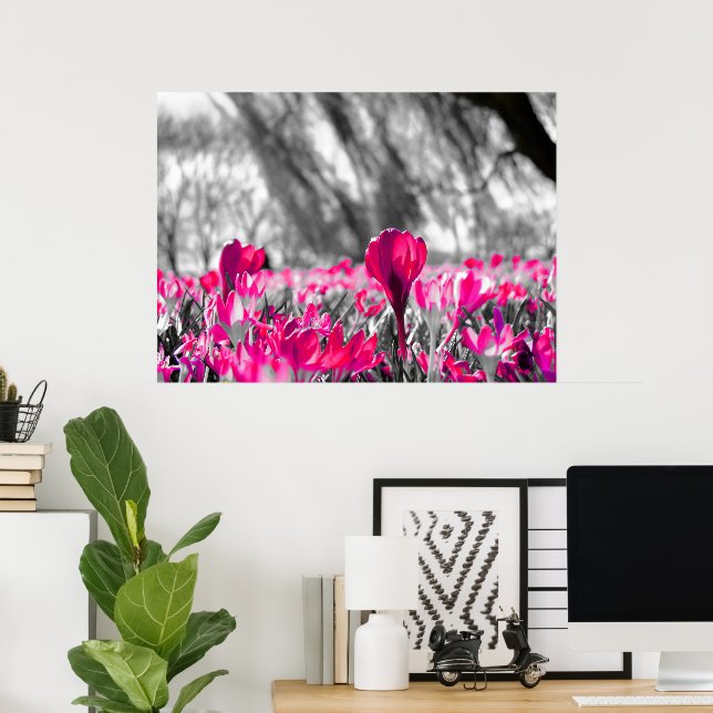 Poster Fleur rose noir monochrome (Bureau à domicile)