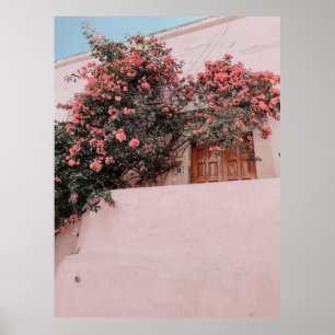 Poster Fleur rose pétée