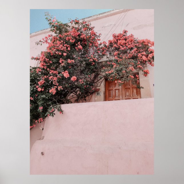 Poster Fleur rose pétée (Devant)