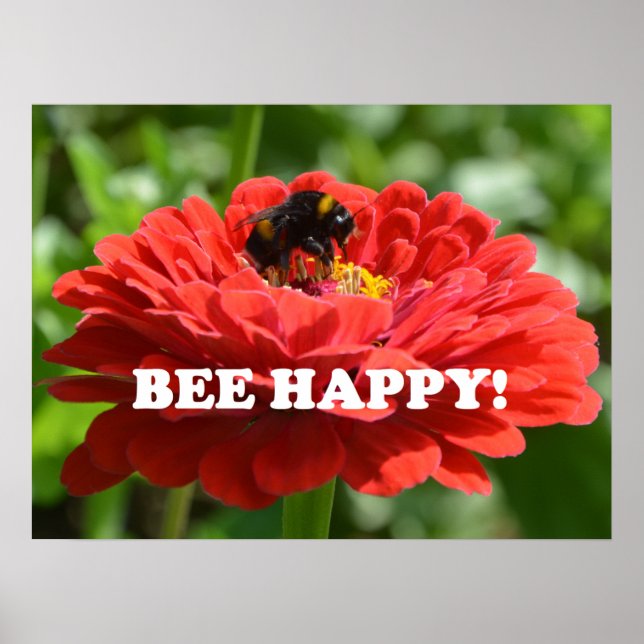 Poster Fleur rouge d'Abee Happy (Devant)