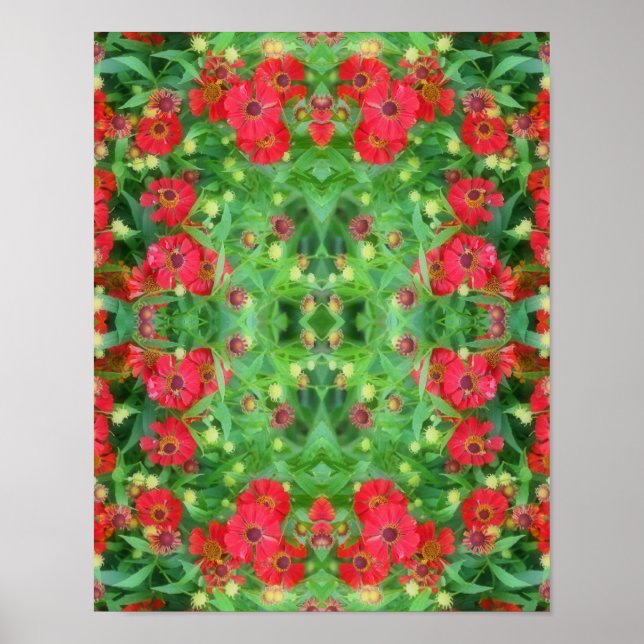 Poster Fleur rouge Zinnia de fond Motif Abstrait (Devant)