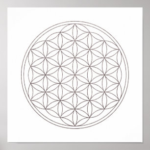 Poster Fleur sacrée de la géométrie de la vie (V-Fumée)