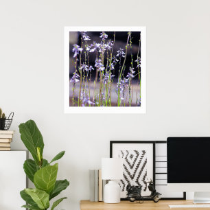 Poster Fleur sauvage