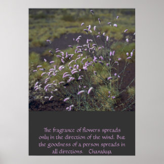 Poster fleur sauvage