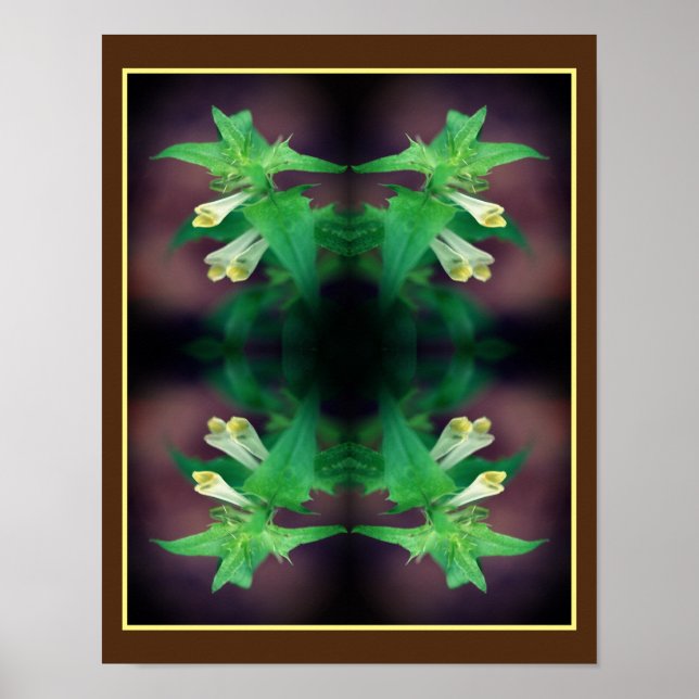 Poster Fleur sauvage blanc minuscule gros plan miroir Abs (Devant)