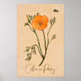 Poster Fleur sauvage botanique de Californie