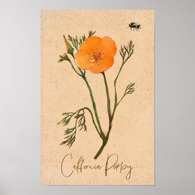 Poster Fleur sauvage botanique de Californie (Devant)