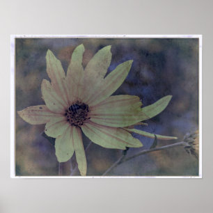 Poster Fleur sauvage et abeille