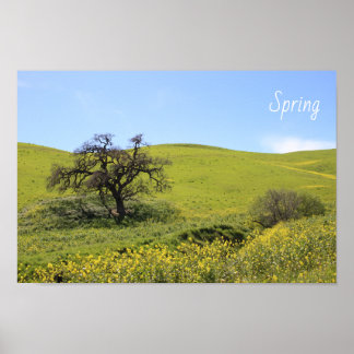 Poster Fleur sauvage Hillside Photo Oak Nature Pittoresqu