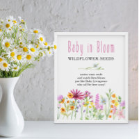 Fleur sauvage Meadow Baby in Bloom Flower Seeds Fa