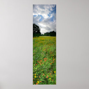 Poster Fleur sauvage Meadow - Butler Trail - Austin Texas