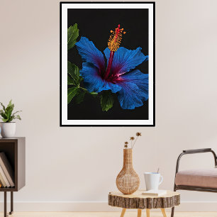 Poster "Fleur sereine : La Beauté des fleurs d'Hibiscus B