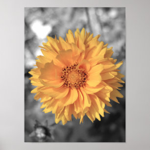 Poster Fleur teintée jaune