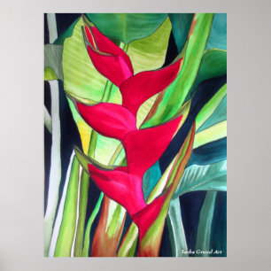 Poster Fleur tropicale d'aquarelle de Heliconia de griffe