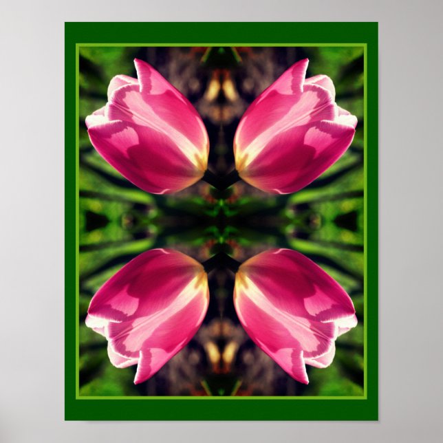 Poster Fleur Tulipe Rose Dans Miroir Soleil Abstrait (Devant)