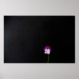 Poster Fleur violet wapcn