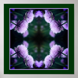 Poster Fleurir Allium Oignon Violet Art de la Nature
