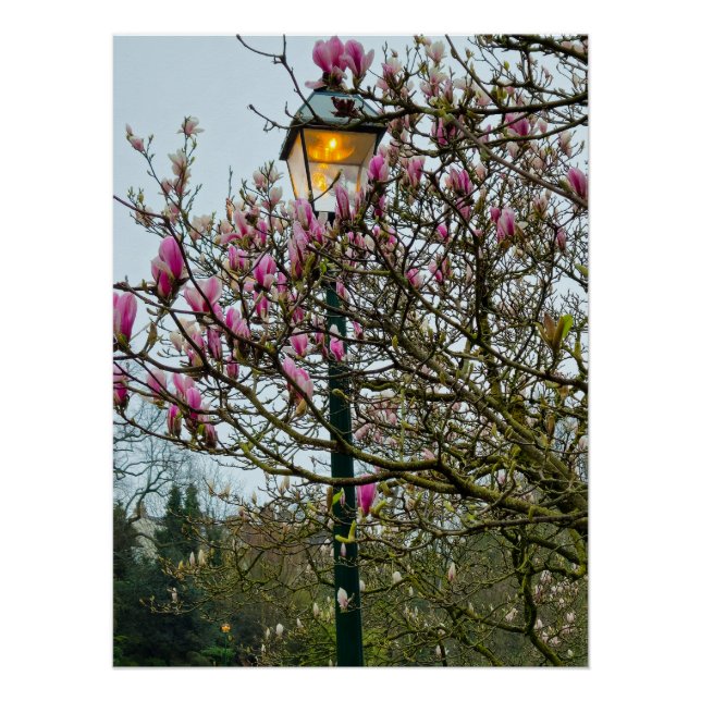 Poster Fleurs (Devant)
