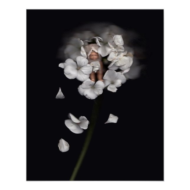 Poster Fleurs 1 (Devant)