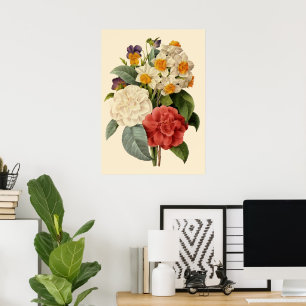 Poster Fleurs anciennes, camélias et narcisses, Redoute