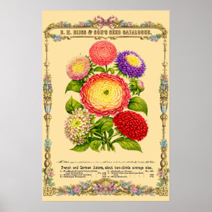 Poster Fleurs Art Botanique Rétro Ère Victorienne