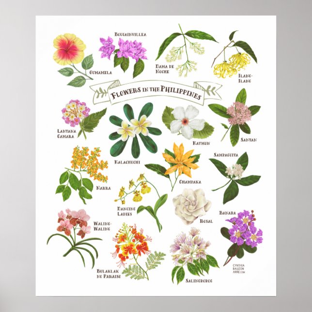 Poster Fleurs aux Philippines (Devant)
