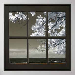 Poster Fleurs blanches 24x24 Fenêtre Faux noirs