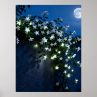 Fleurs Blanches au Clair de Lune sur une Vigne Art