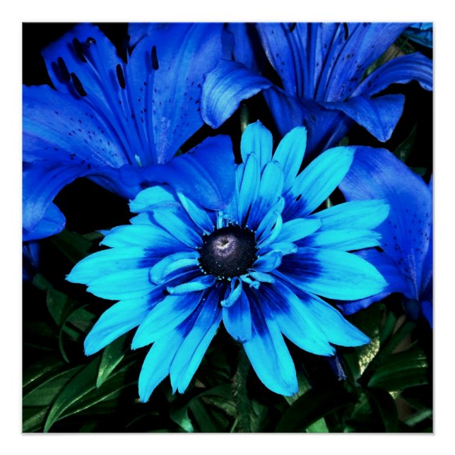 Poster Fleurs Bleu Électrique (Devant)