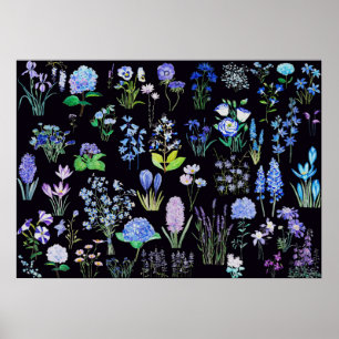 Poster fleurs bleues et violettes arrière - plan noir