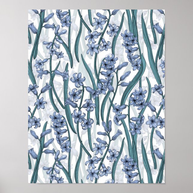 Poster Fleurs Blue Hyacinth sur blanc (Devant)