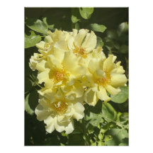 Fleurs botaniques jaunes