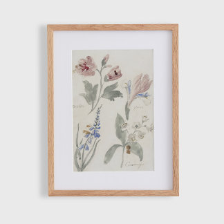 Poster Fleurs c, nurserie vintage