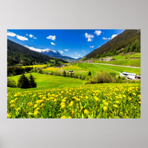 Poster Fleurs Canton des Grisons de Dandelion, Suisse