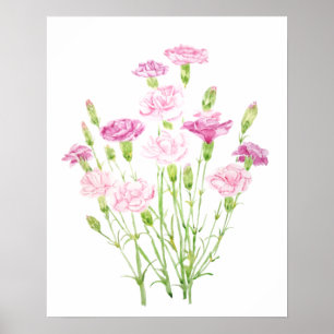 Poster fleurs carnation rose