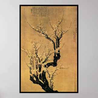Poster Fleurs chinoises de cerisiers