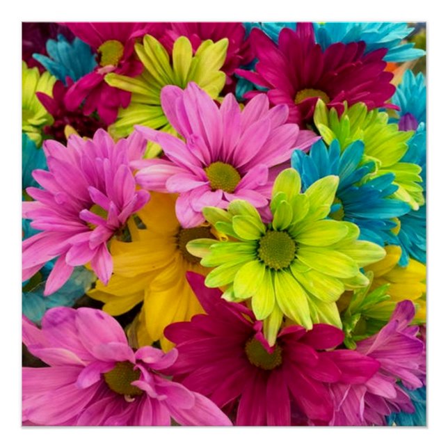 POSTER FLEURS CLAIRES ET COLORÉES (Devant)