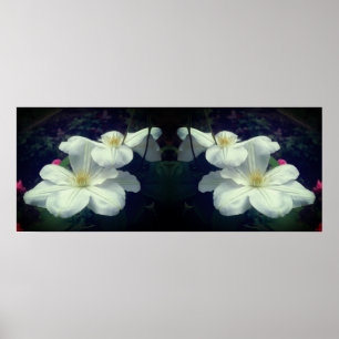 Poster Fleurs Clematis Blanches Miroir Abstrait