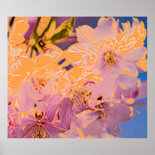 Poster Fleurs colorées Imprimer