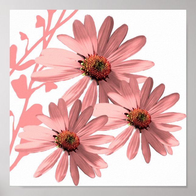Poster Fleurs coniques (Devant)