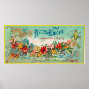 Poster Fleurs D Ethiopie - LabelParis, France