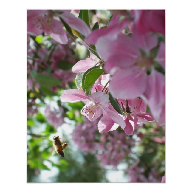 Poster Fleurs d'abeilles et de crabes de miel (Devant)