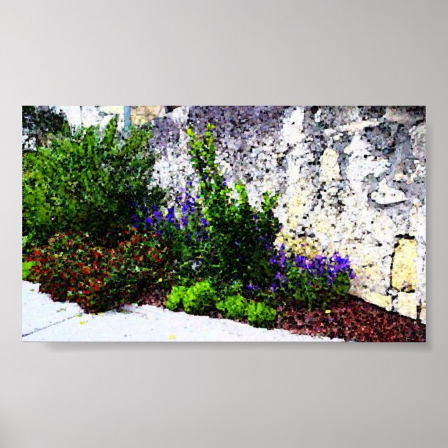 Poster Fleurs d'Alamo (Devant)